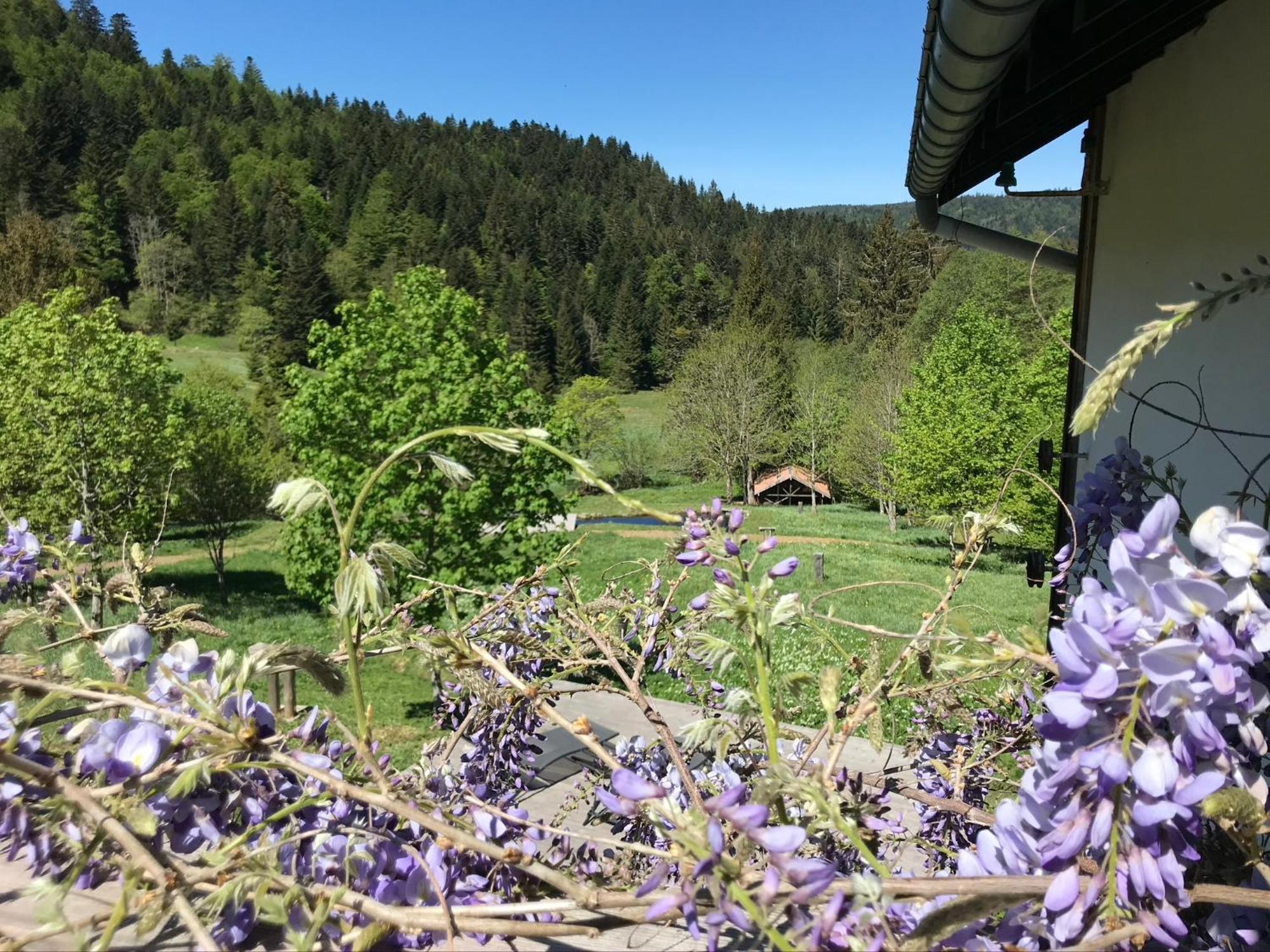 Les Authentics - La Ferme Des Delices & Spa Gérardmer Exterior photo