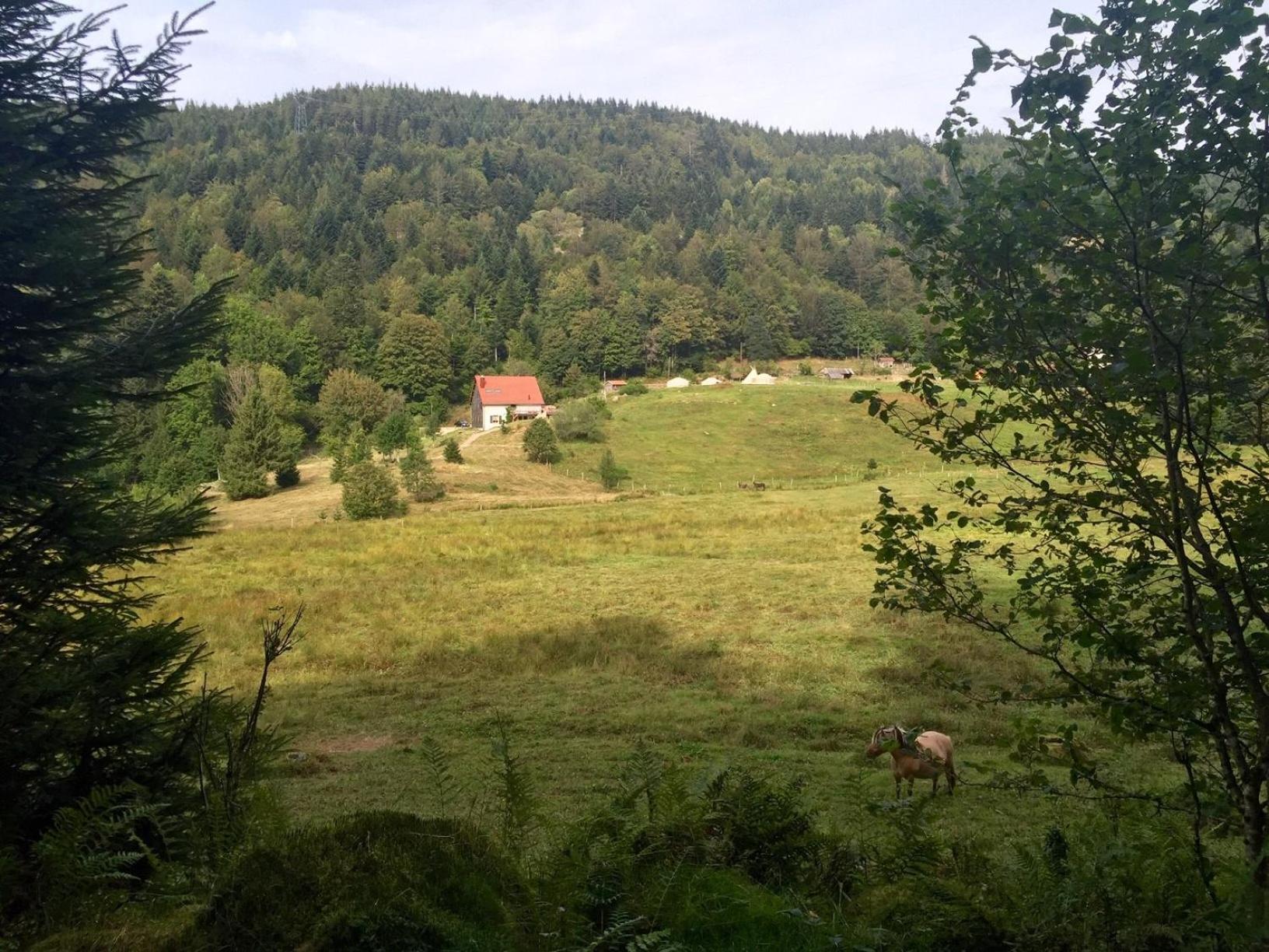 Les Authentics - La Ferme Des Delices & Spa Gérardmer Exterior photo