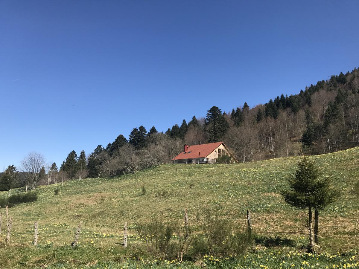 Les Authentics - La Ferme Des Delices & Spa Gérardmer Exterior photo